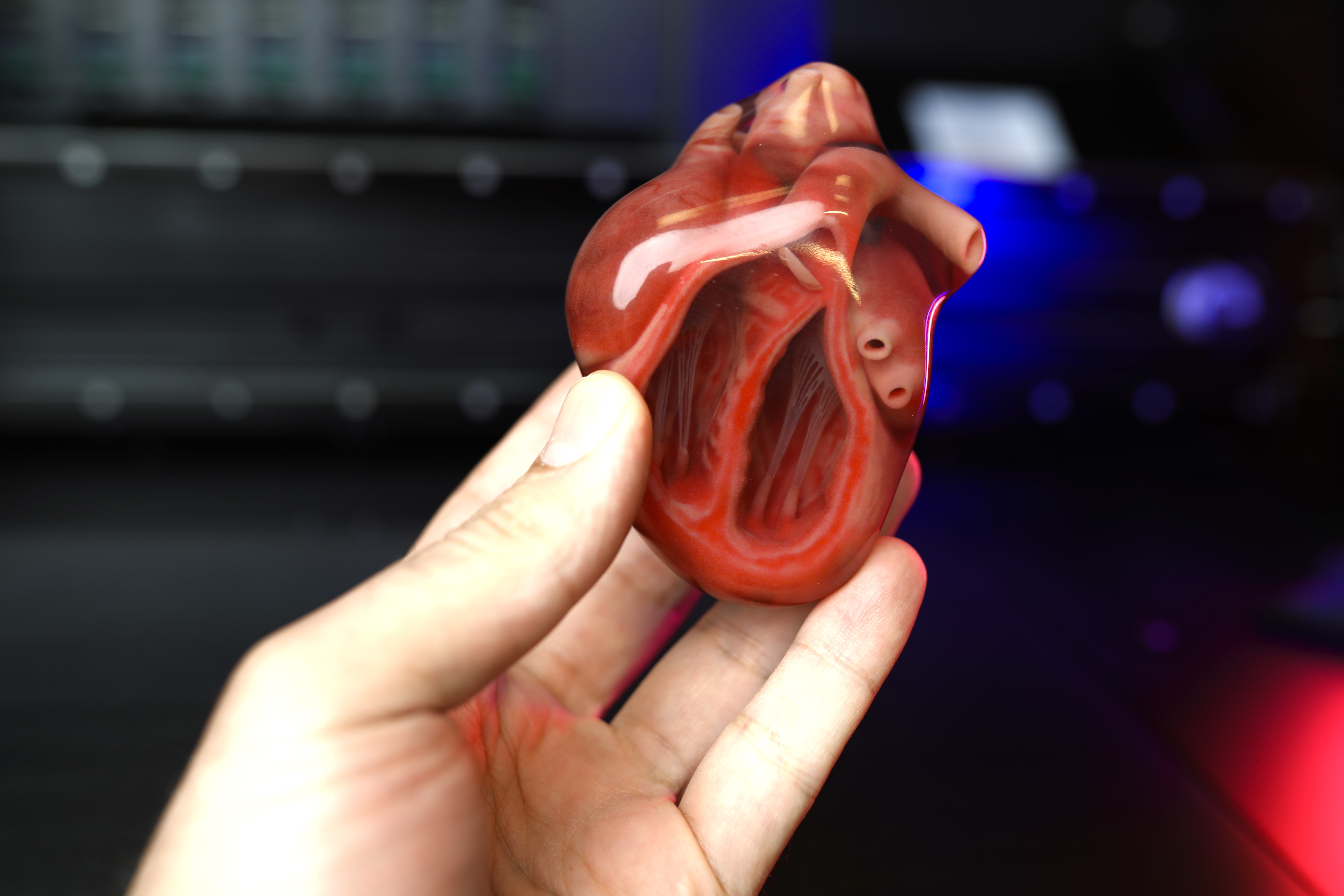 有史以来印刷的最好的全彩色3D心脏